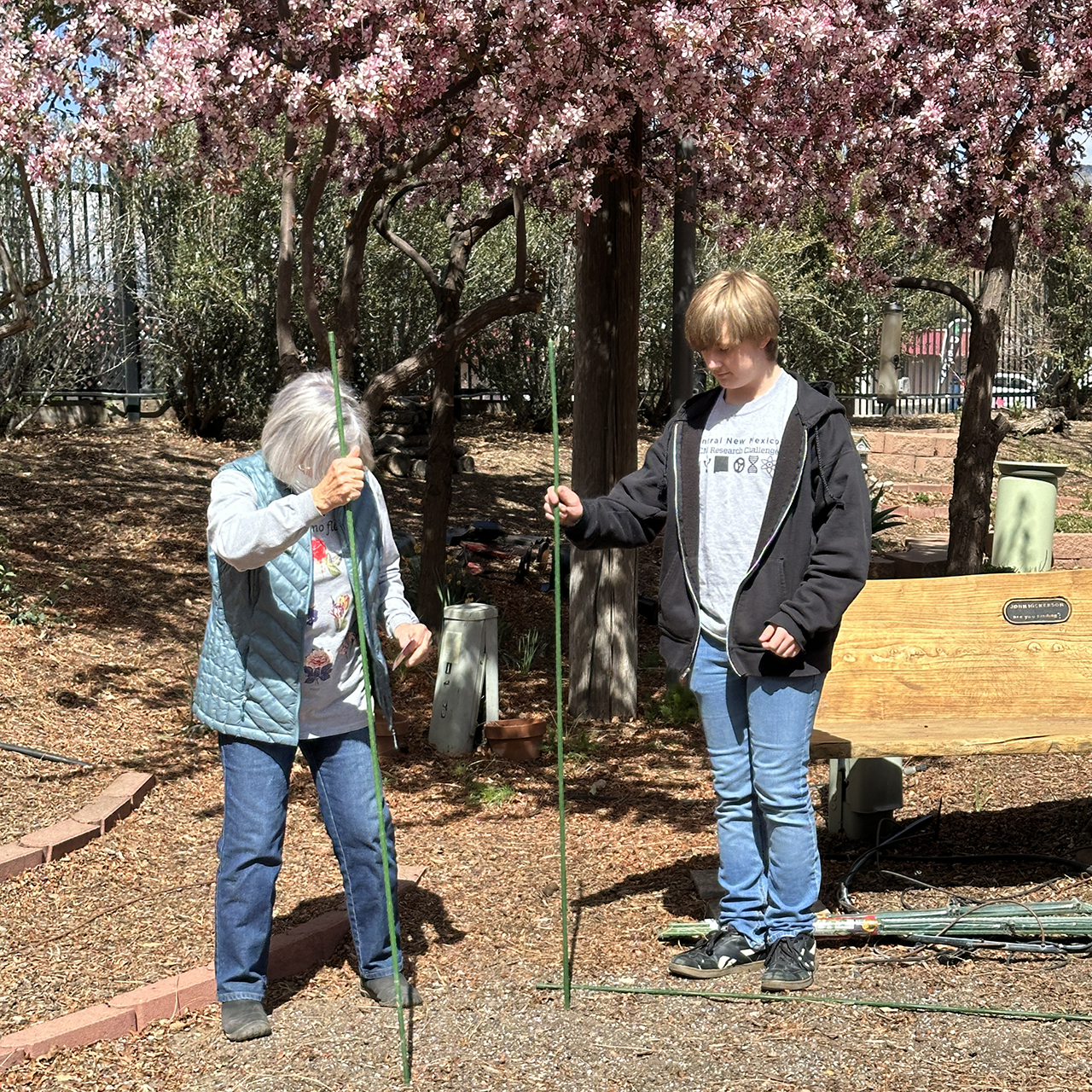 New Mexico Dahlia Society April 2025 Meeting