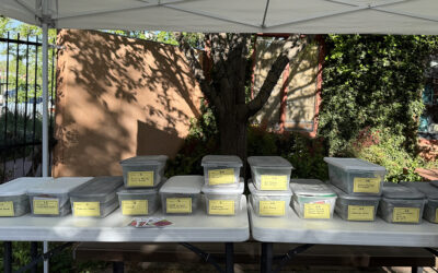 2025 Dahlia Tuber Sale