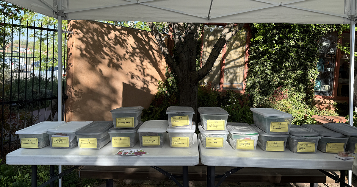 2025 Dahlia Tuber Sale