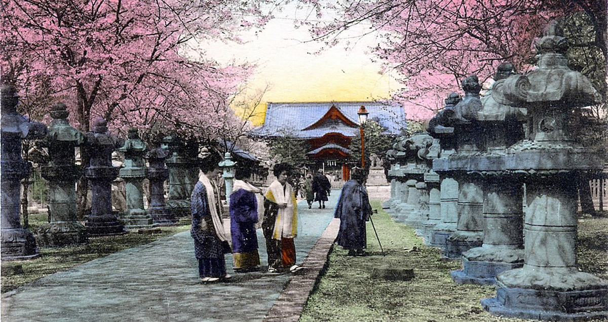 Ueno Toshogu Shrine Dahlia Festival