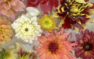 NMDS Classes At Argi-Nature Center