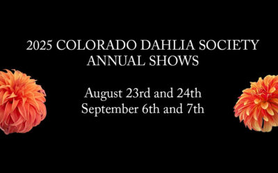 Colorado Dahlia Society Show