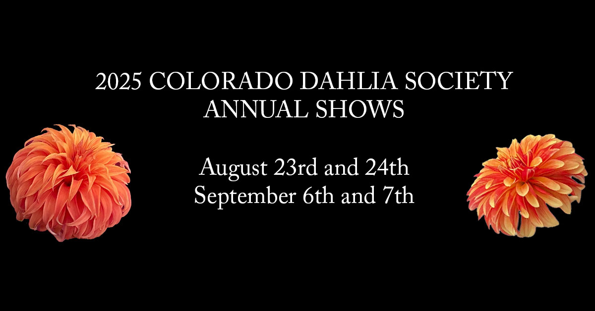Colorado Dahlia Society Show