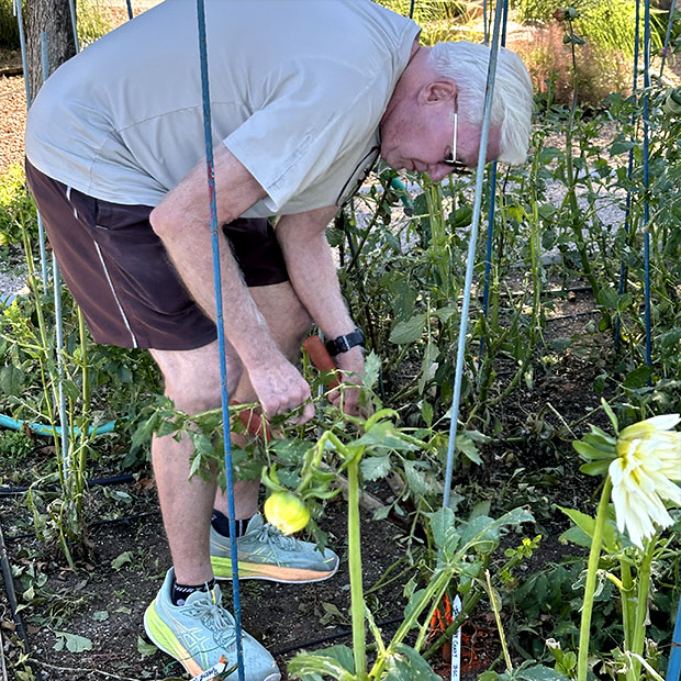 Aaron Greenwood Tutorial Exercise