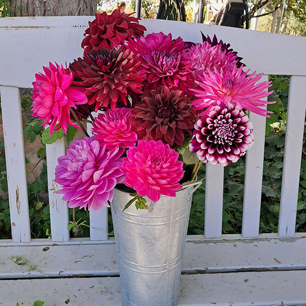 Declan Padget bouquet