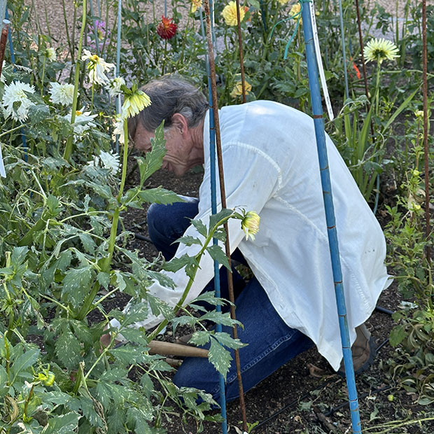 Norm Kolb Tutorial Exercise