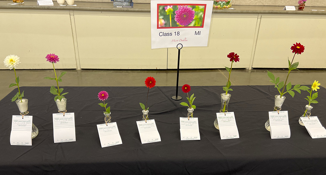 Class 18 Table