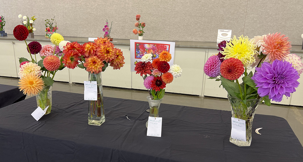 Class 22 Market Bunch Table