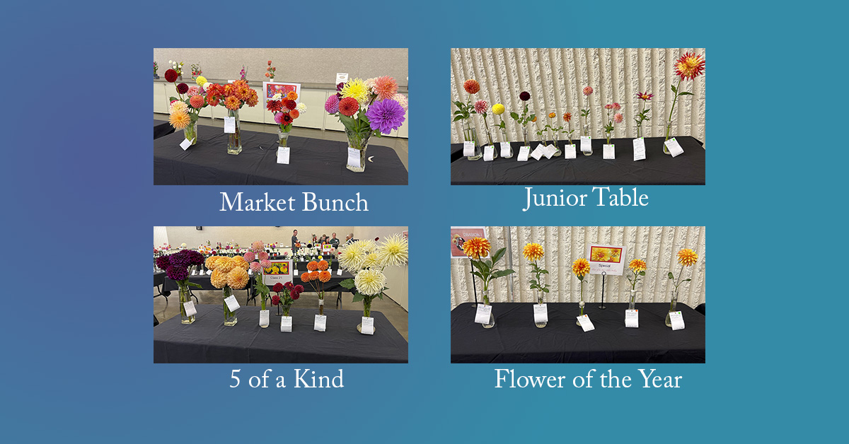 2025 NM Dahlia Festival Entries