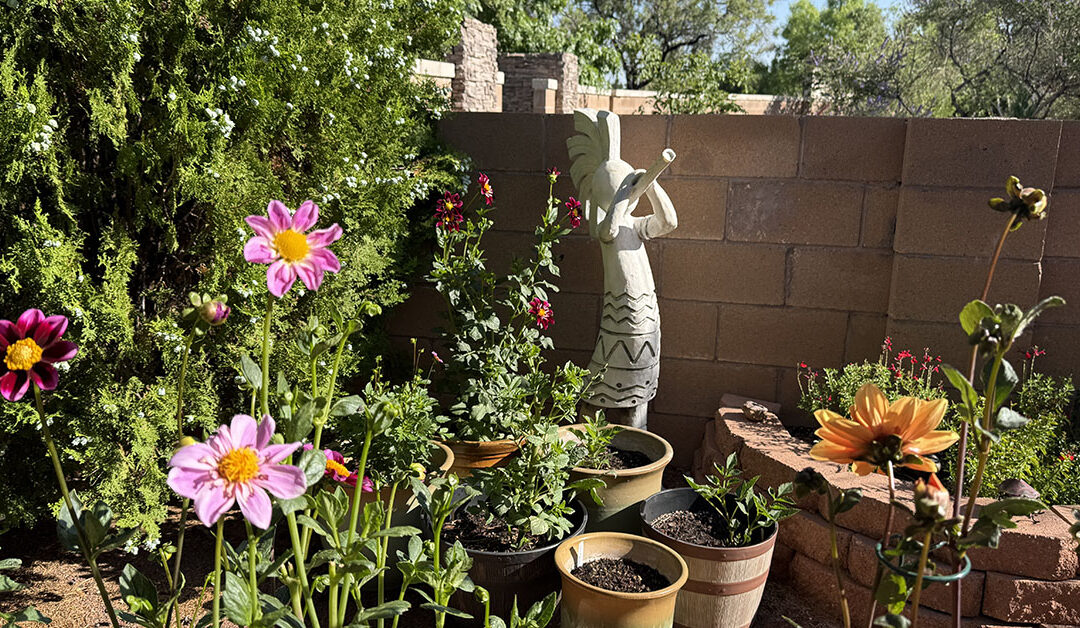New Mexico Dahlia Society Meeting 2025-06-22