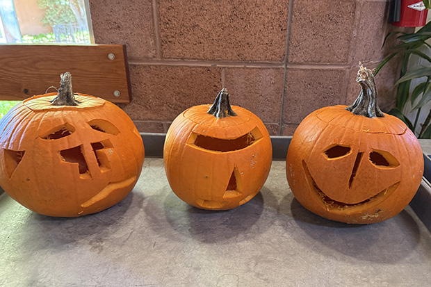 Carved Pumpkins Halloween