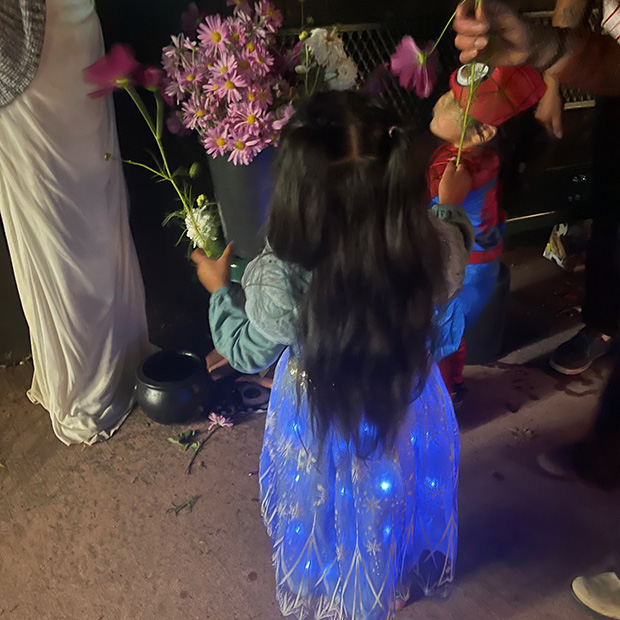 Firefly Costume Halloween