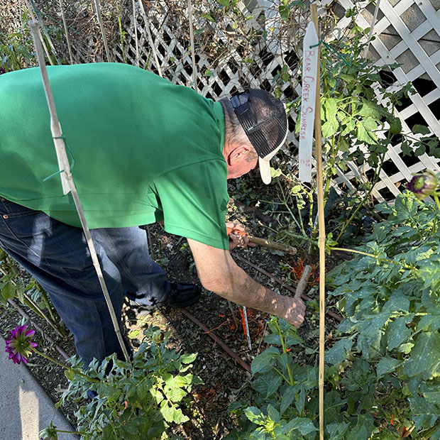Howard McCall Demonstrating