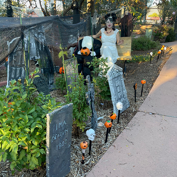 Lady In White Halloween