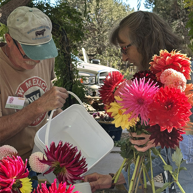 Tom Taylor and Mary McArthur